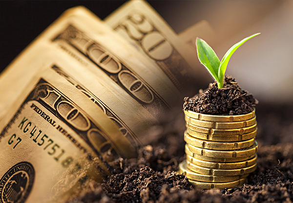 私募股权基金，如何进行投后管理？